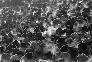 100 Greatest Photos - 100 - Packer faithful