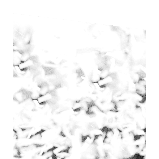 A CENTURY OF MEMORIES