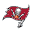 Tampa Bay Buccaneers
